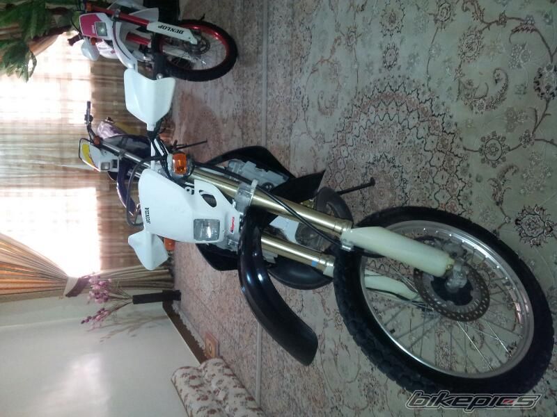 Photo 2538549