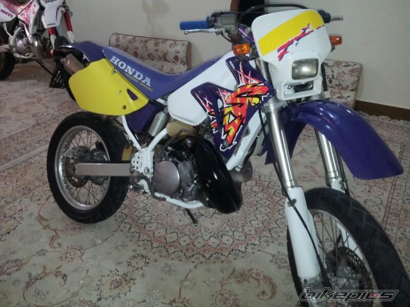 Photo 2538554