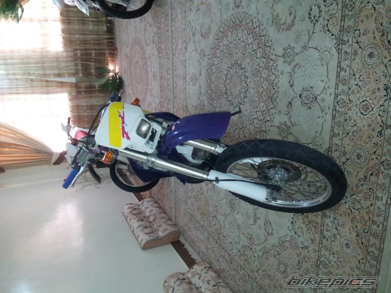 Photo 2538555