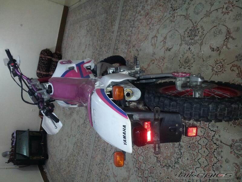 Photo 2538558