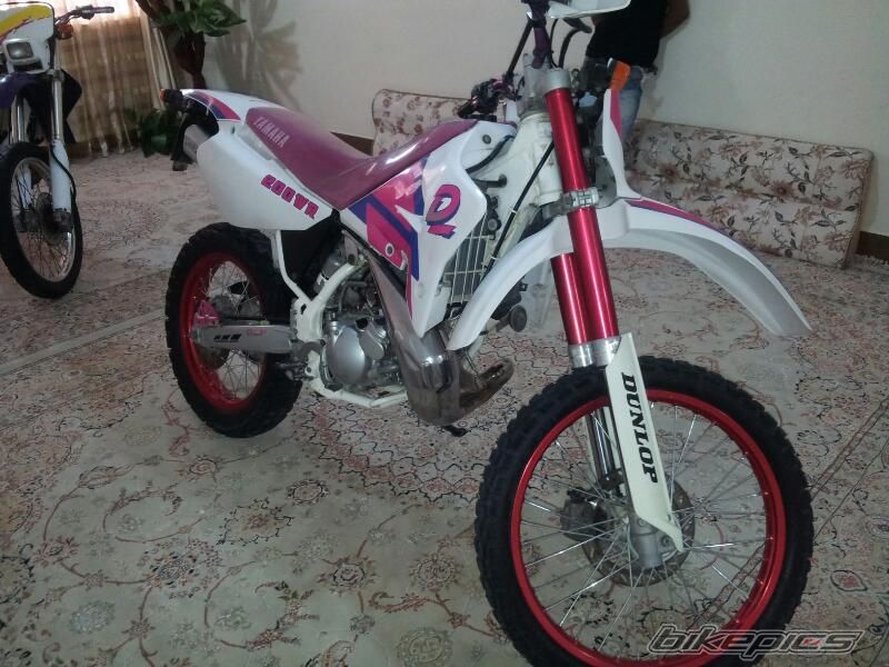 Photo 2538559