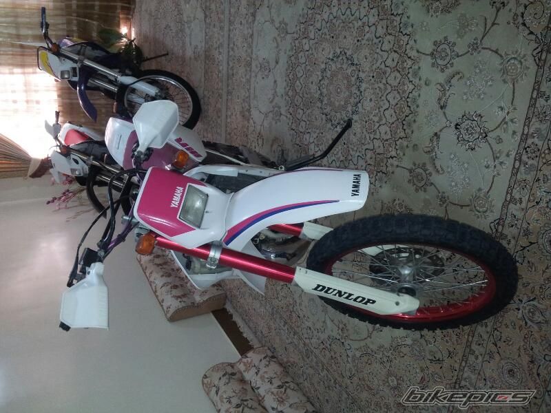 Photo 2538560