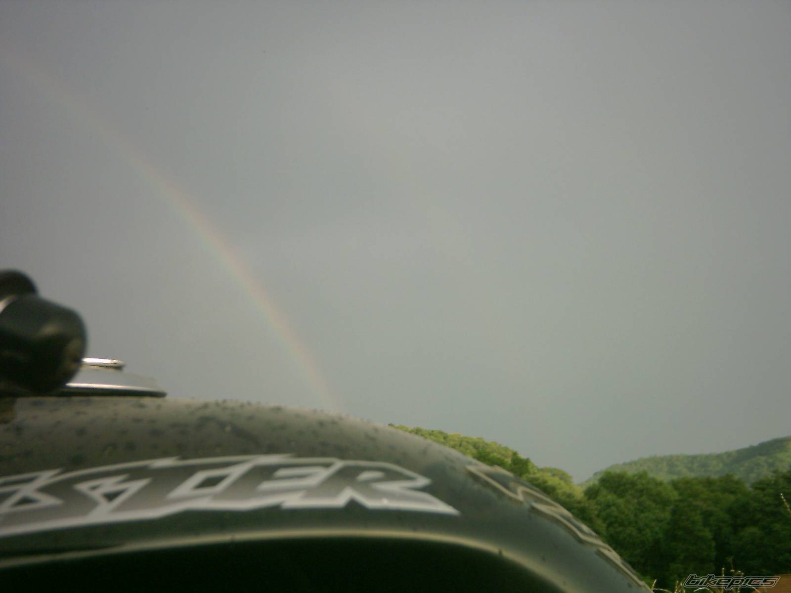 Photo 253857