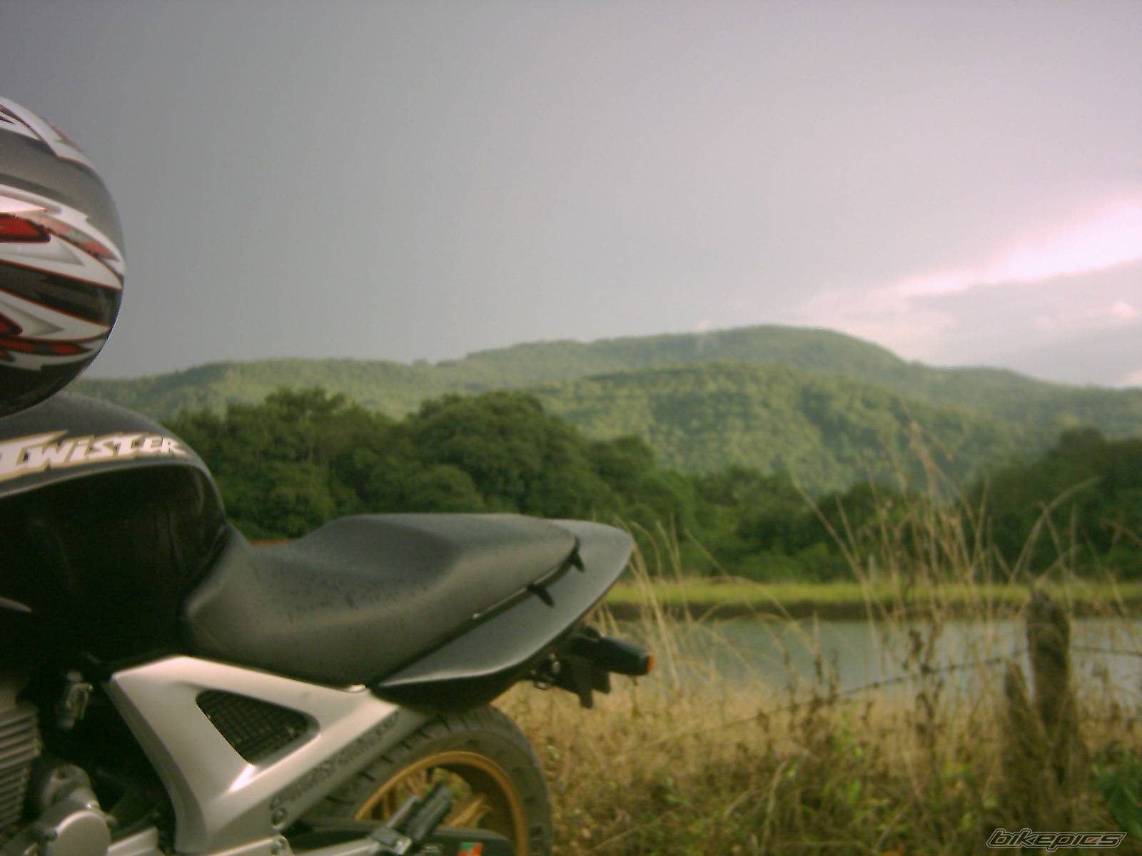 Photo 253860