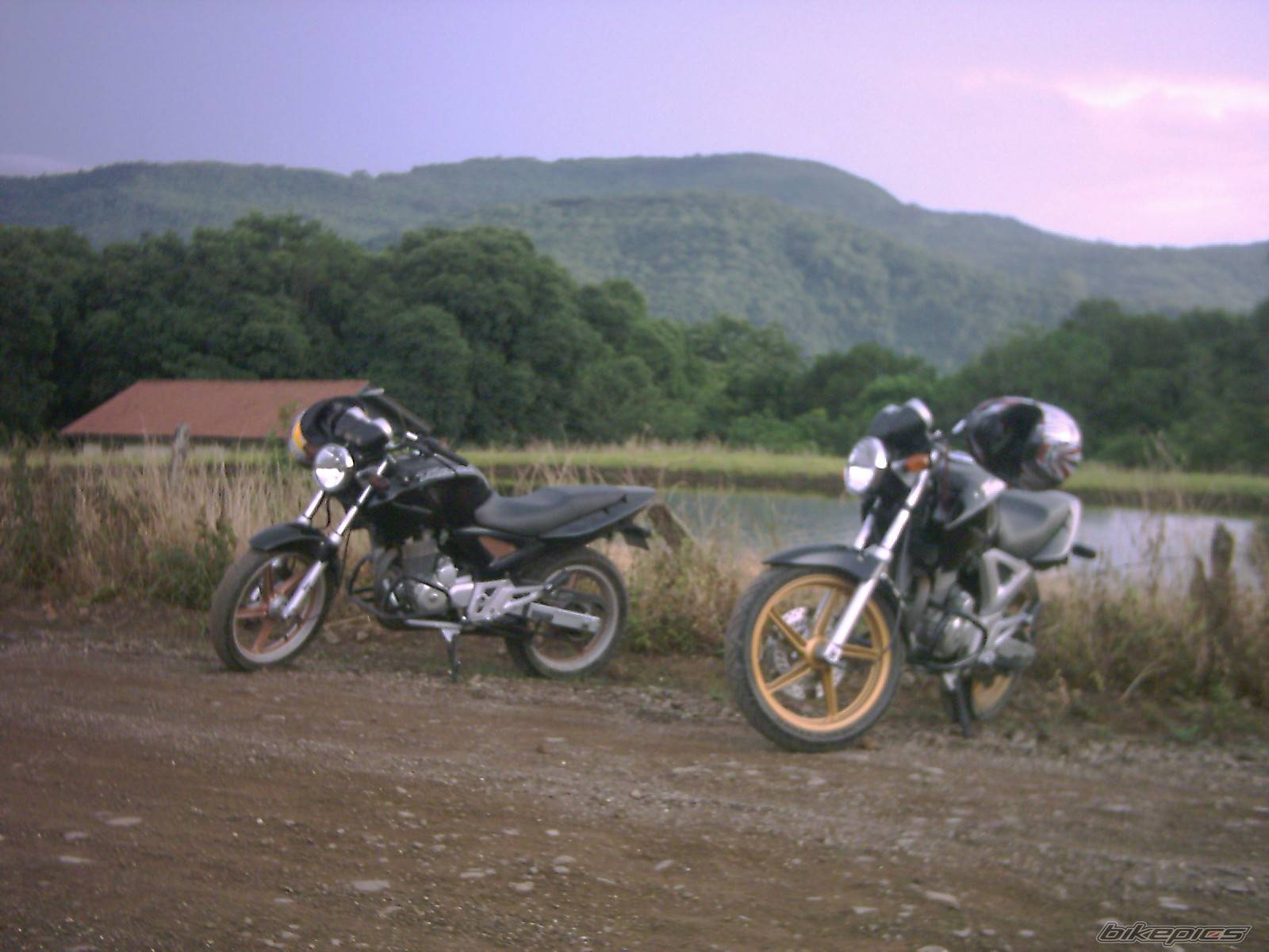 Bike Photo 253861