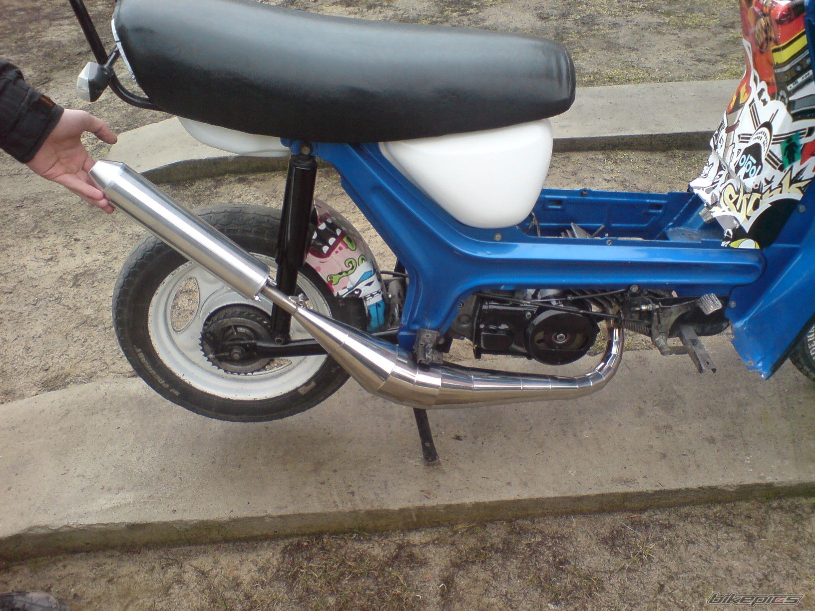 Photo 2538661