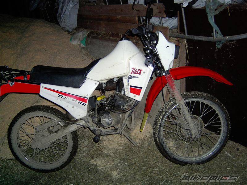 Photo 253873