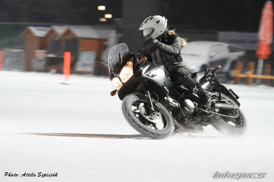 Photo 2538767