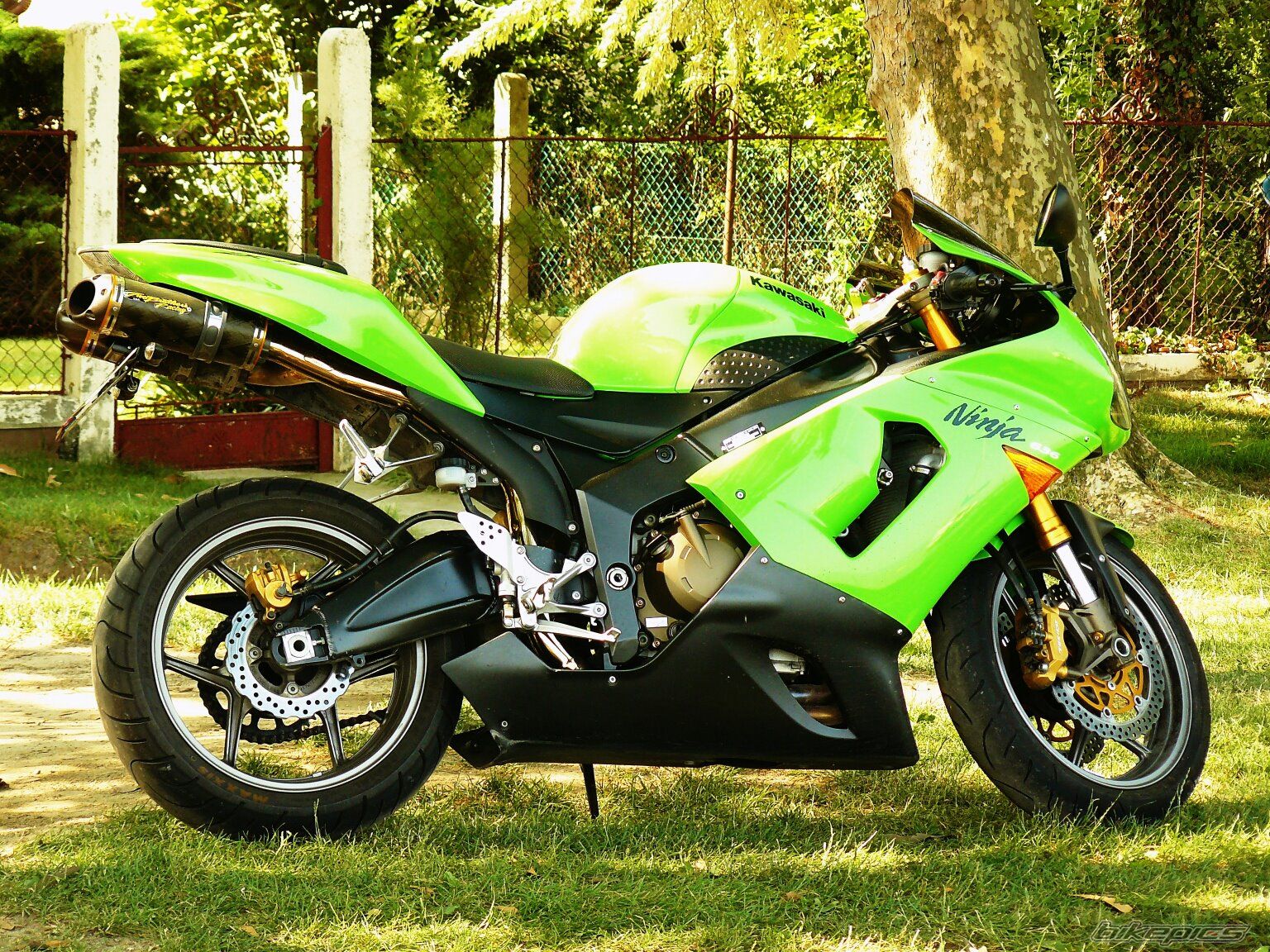 Photo 2538774