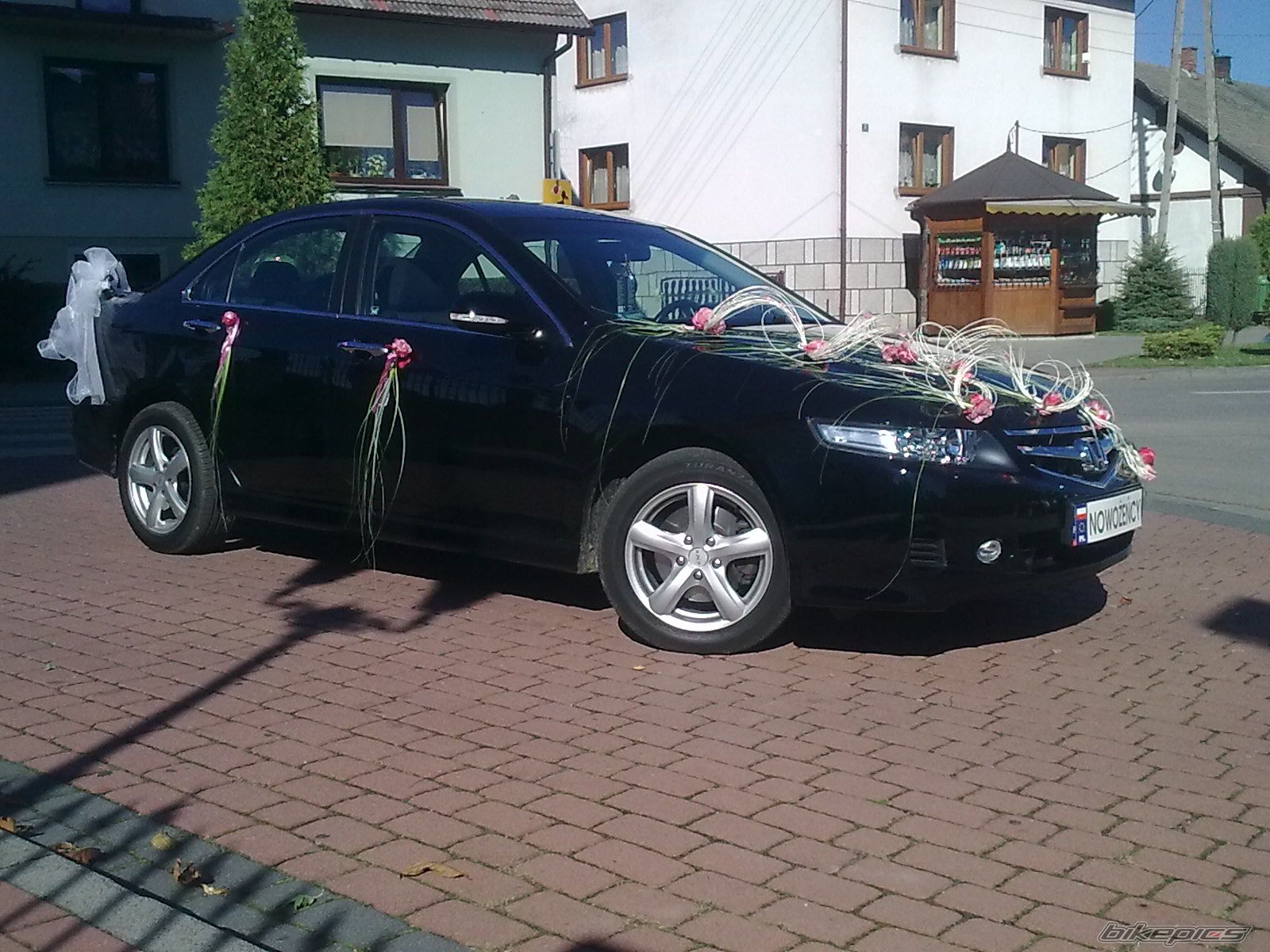 Photo 2538789