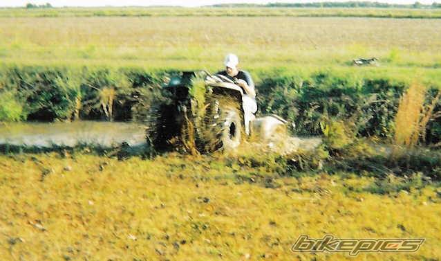 Photo 253879