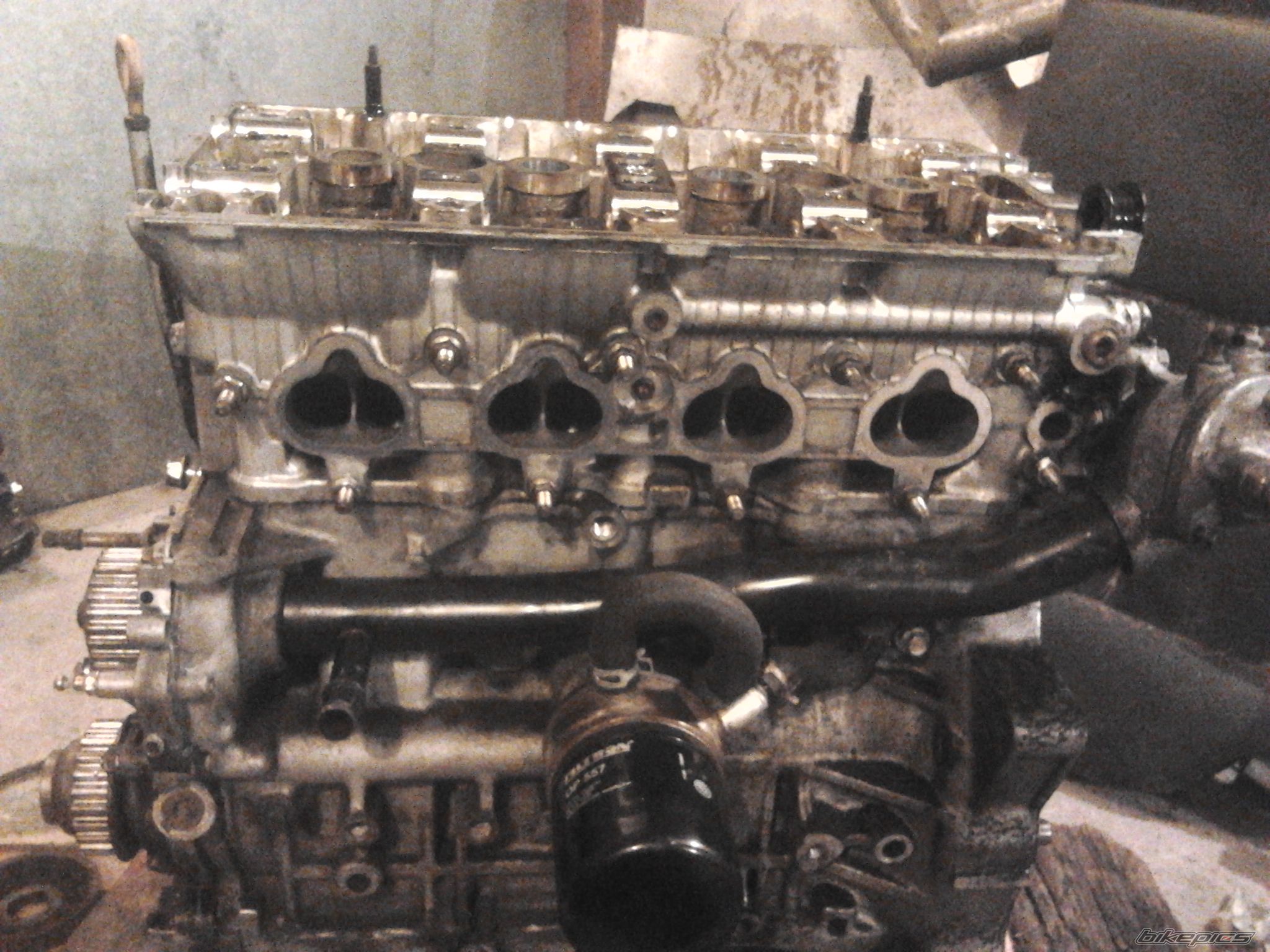 Photo 2538814