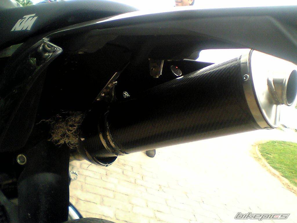 Photo 253885