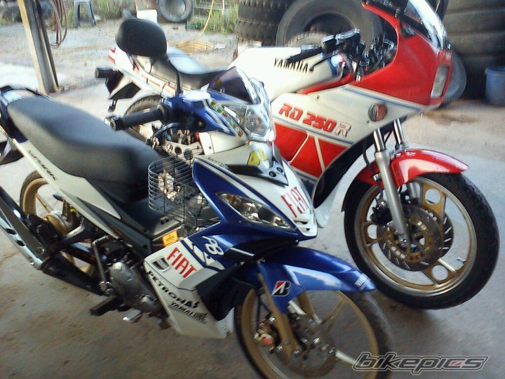 Photo 2538860