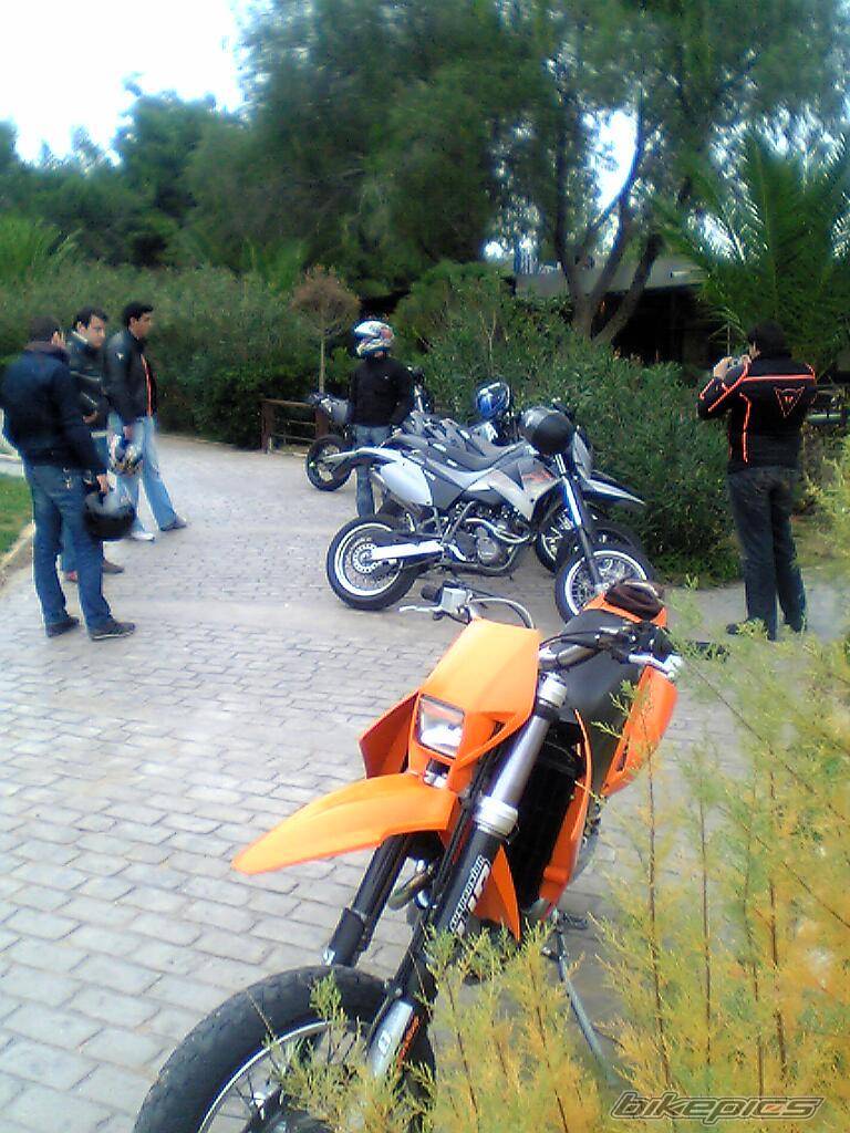 Photo 253890