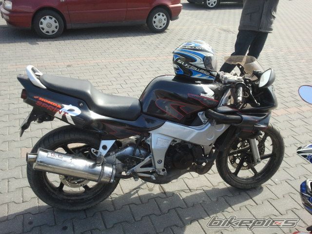 Photo 2538901