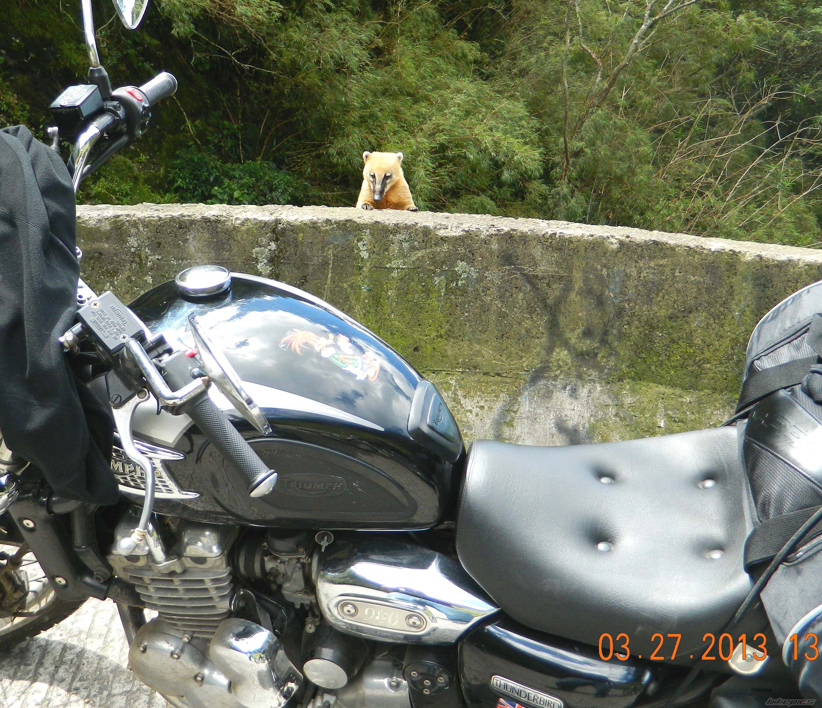 Photo 2538905