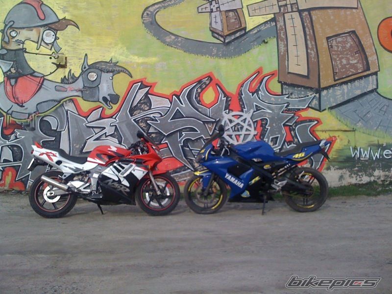 Photo 2538913