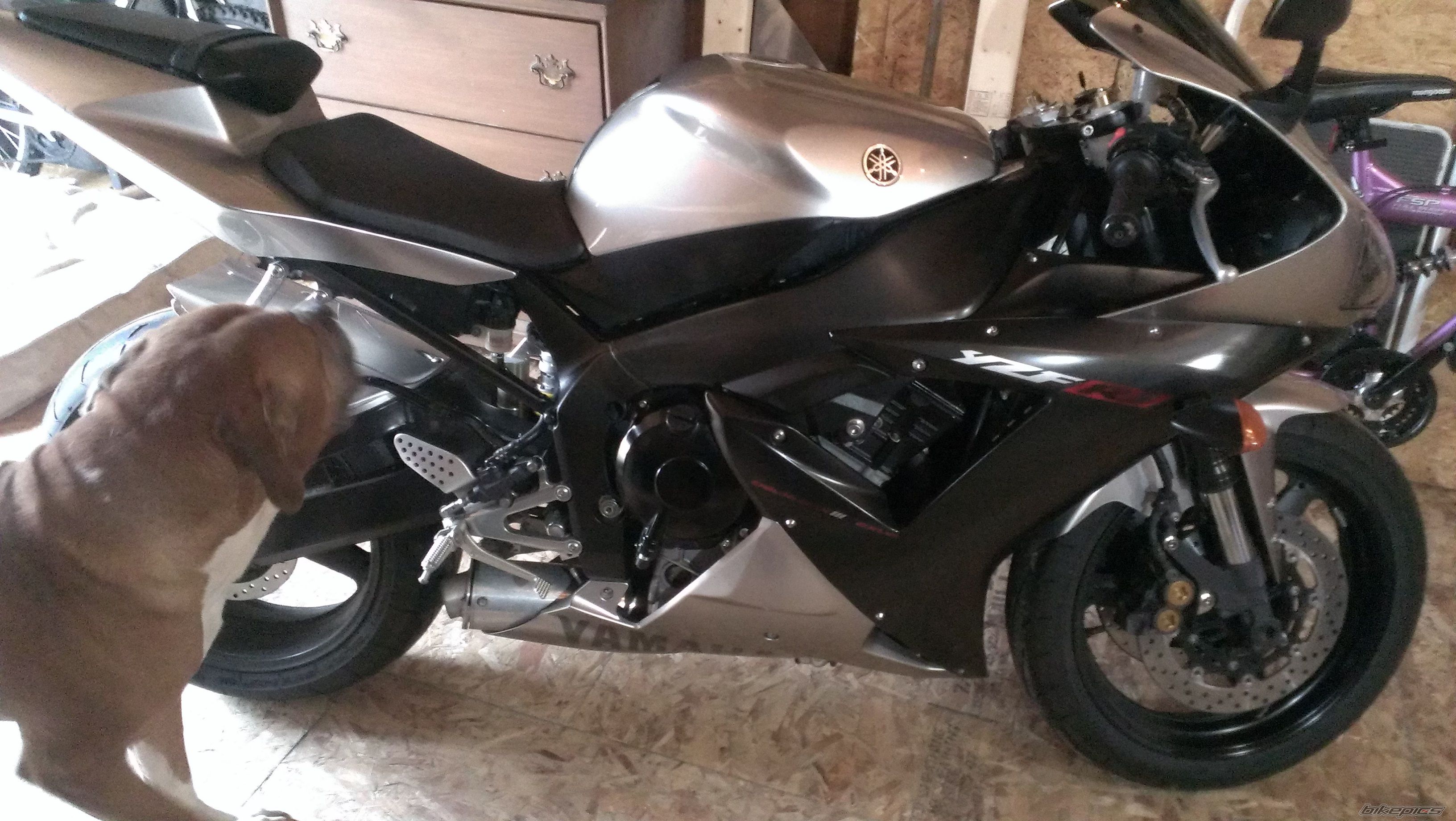 Photo 2538942