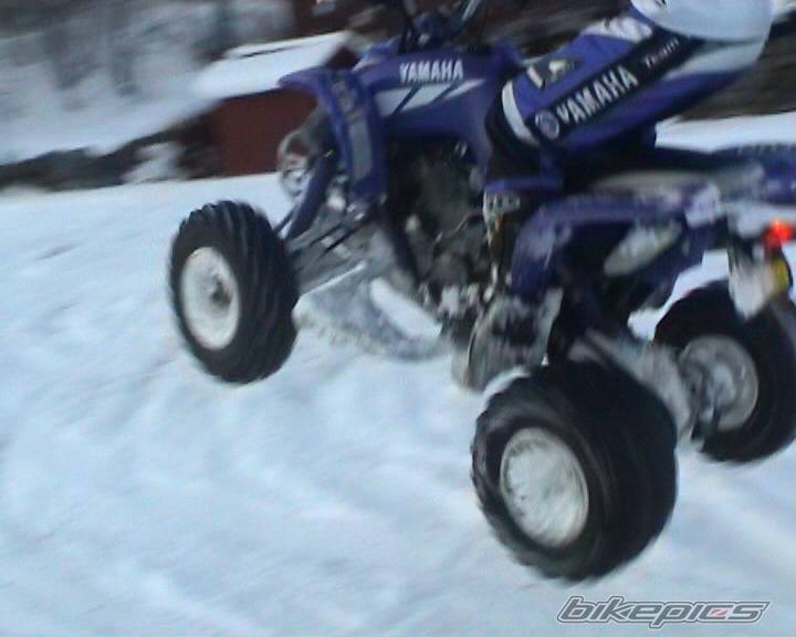 Photo 253901