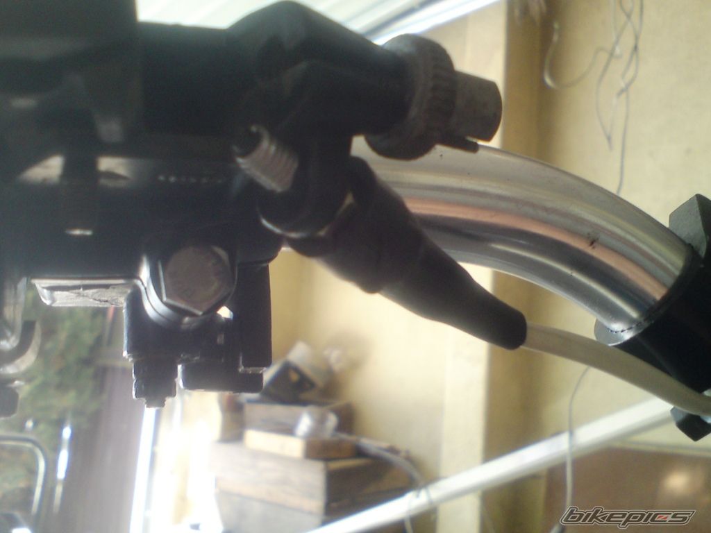 Photo 2539049