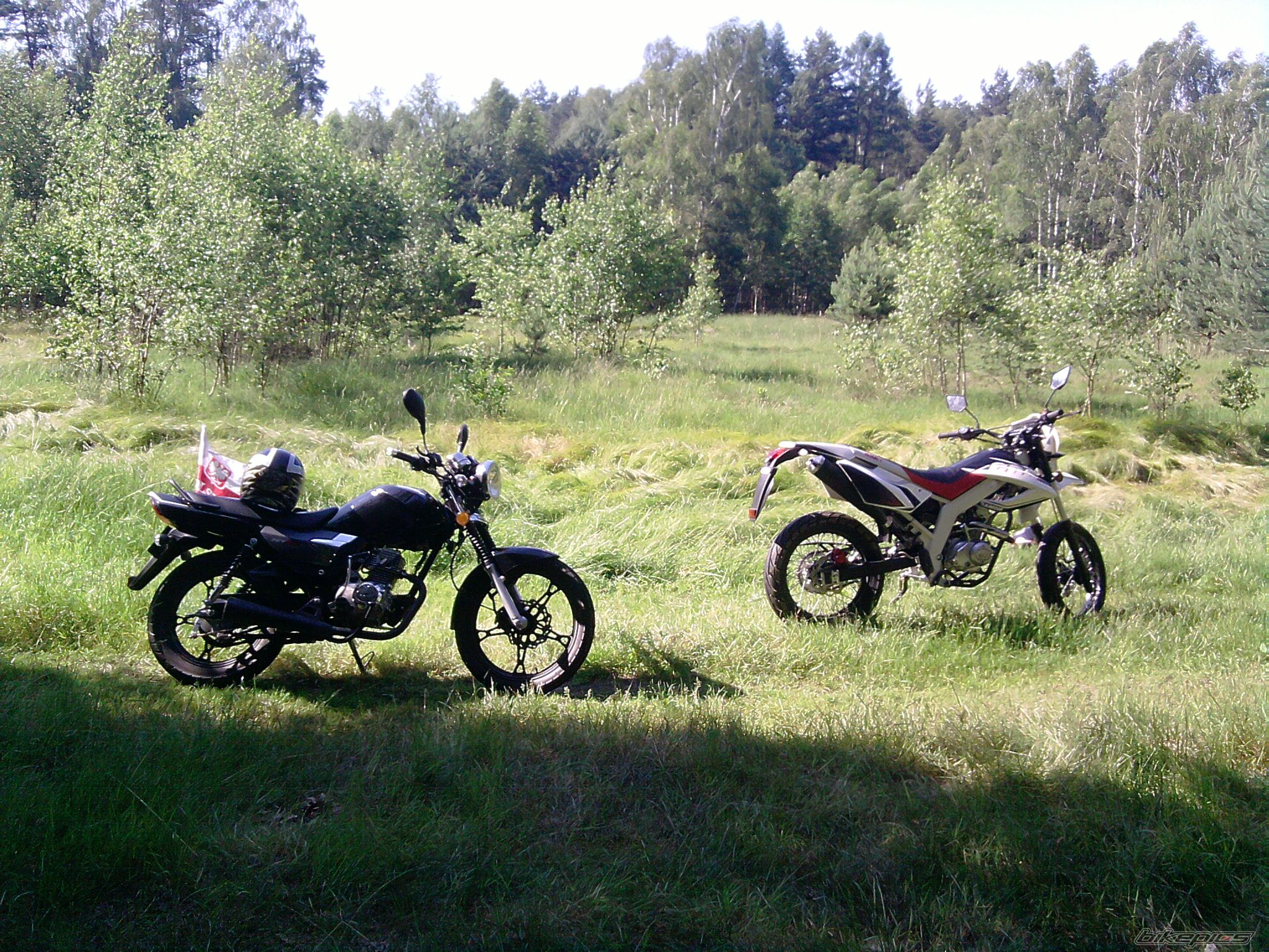 Photo 2539082