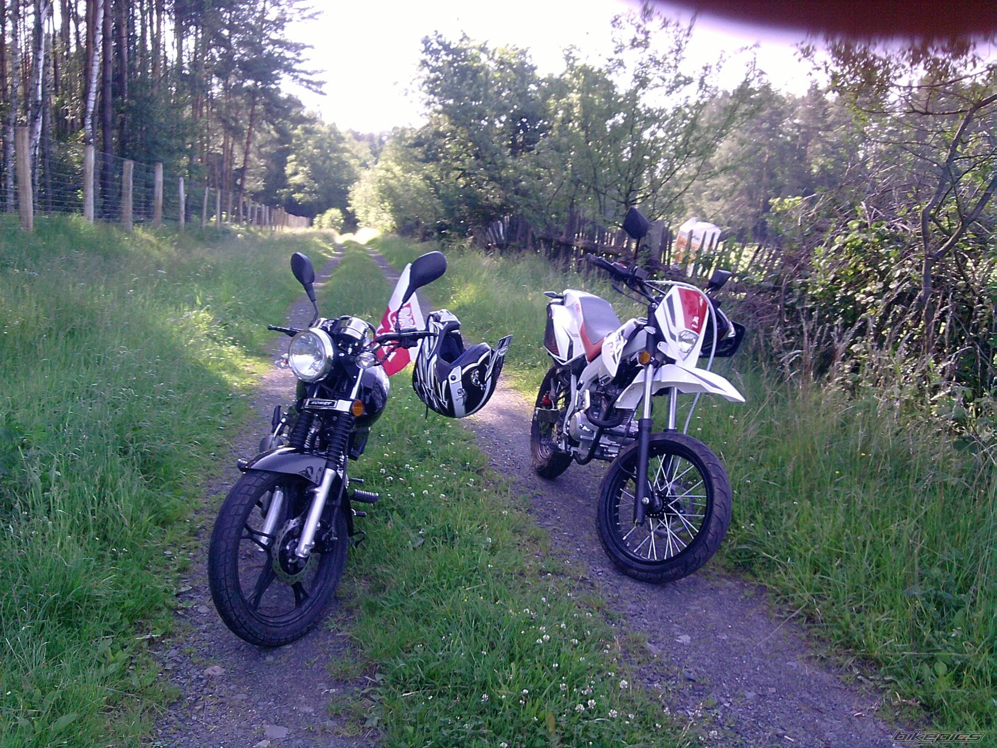Photo 2539084