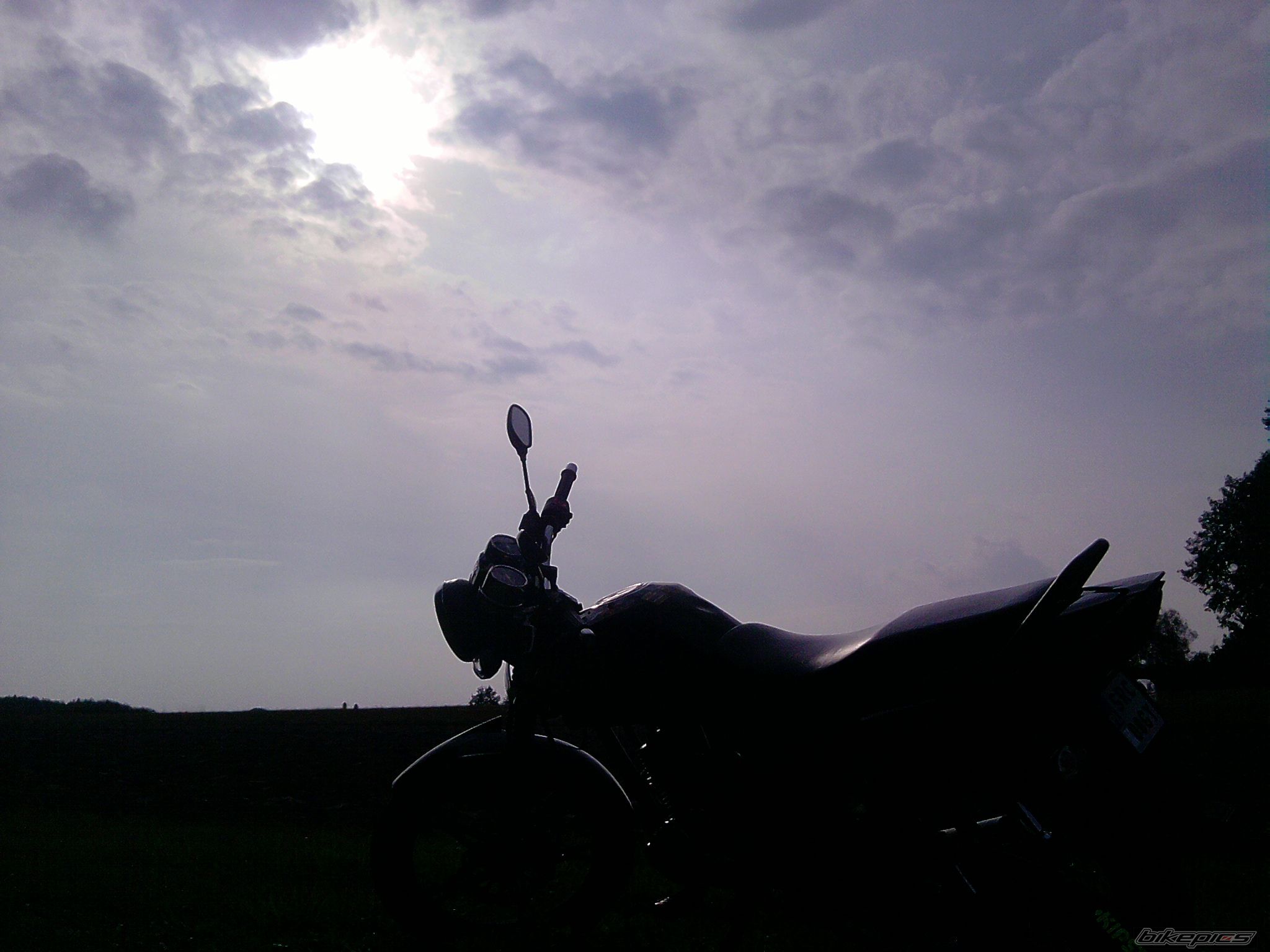 Photo 2539086