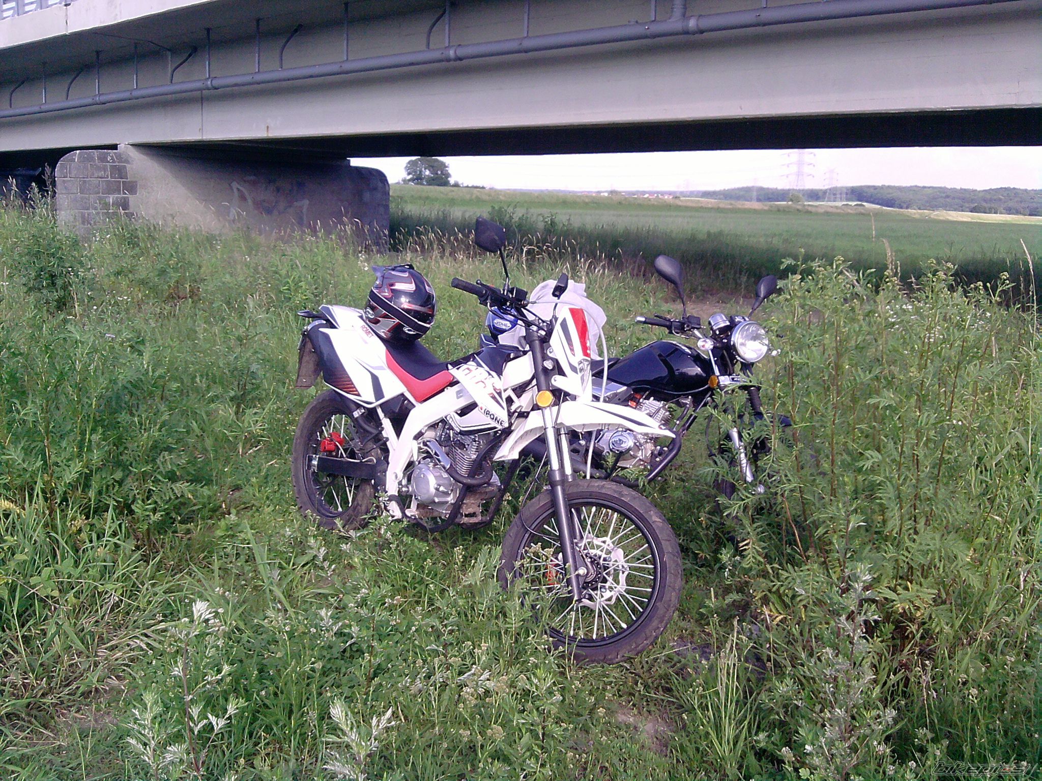 Photo 2539089