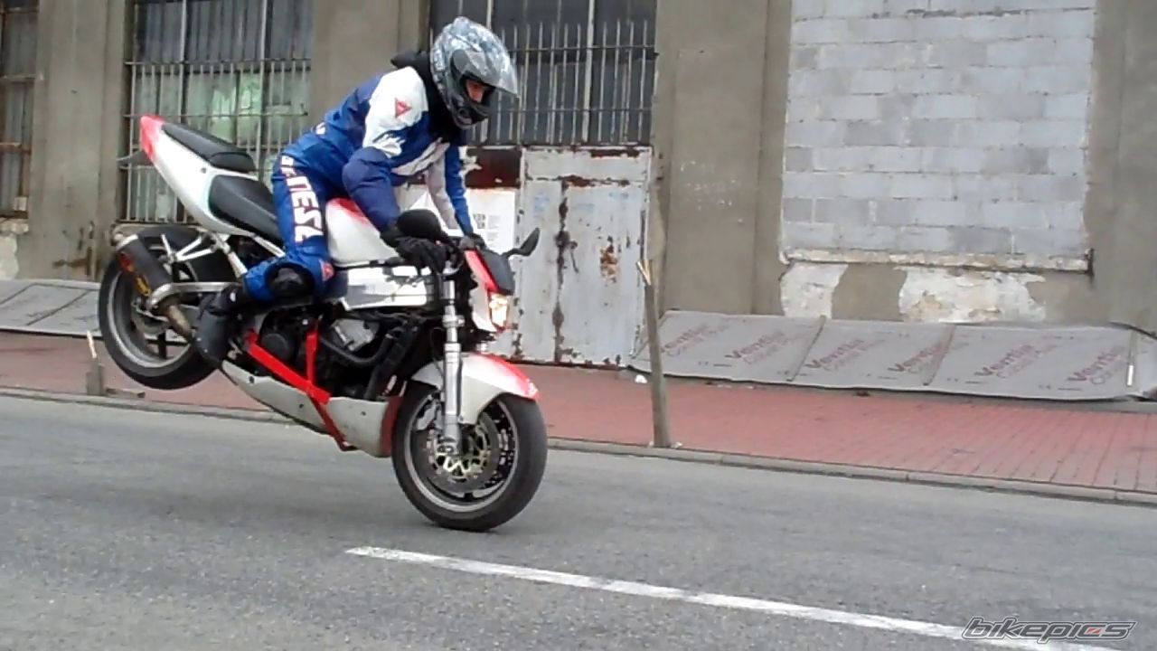 Photo 2539106