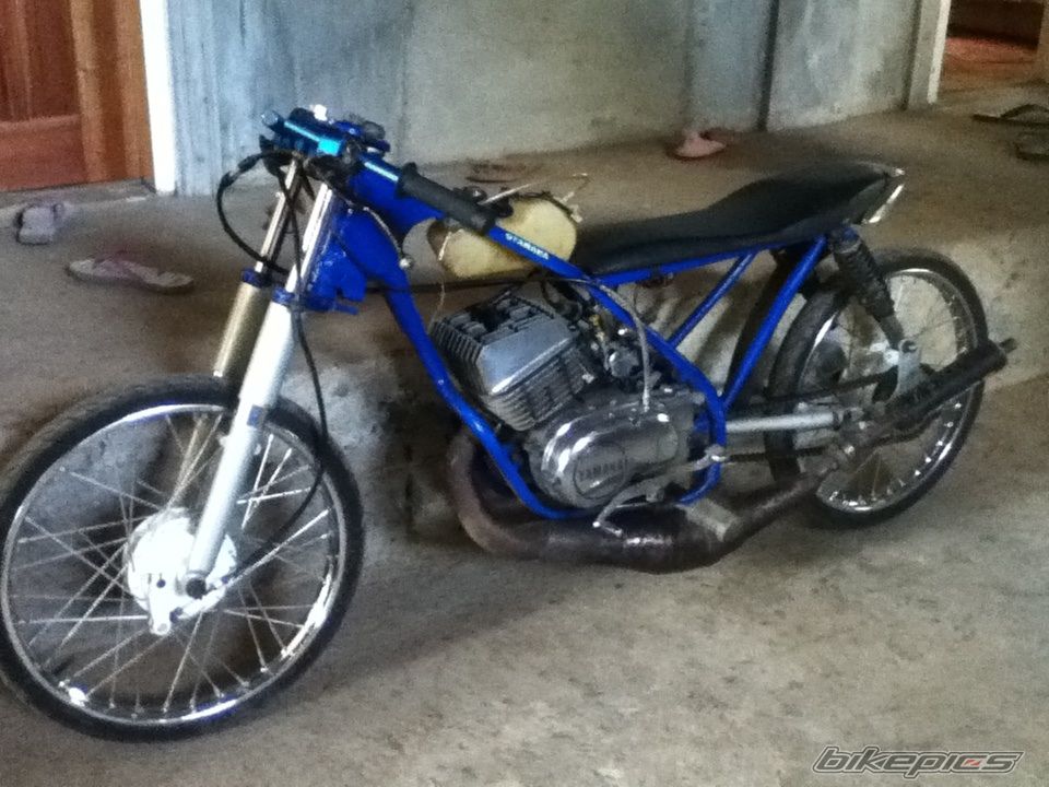 Photo 2539161