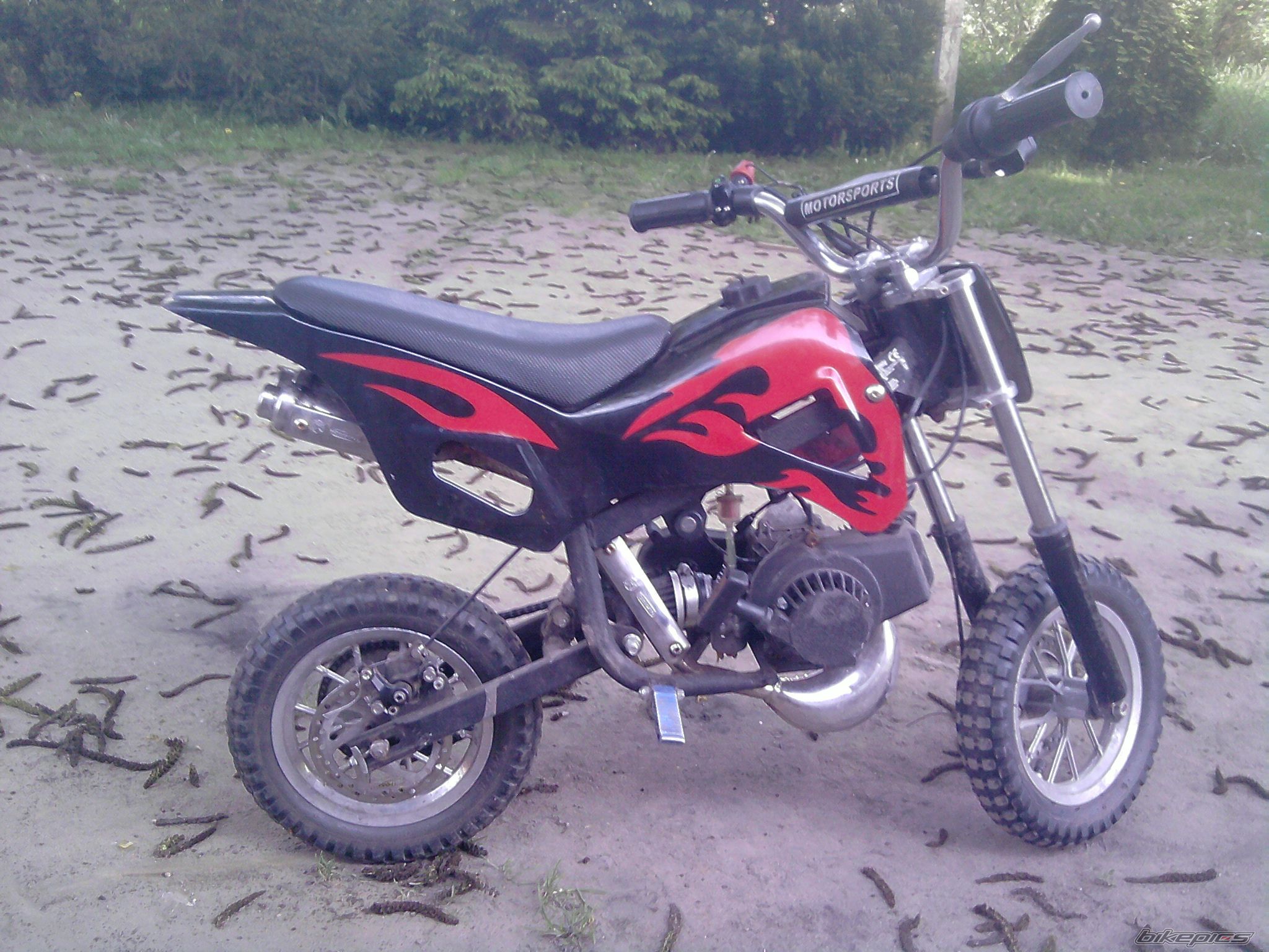 Photo 2539227