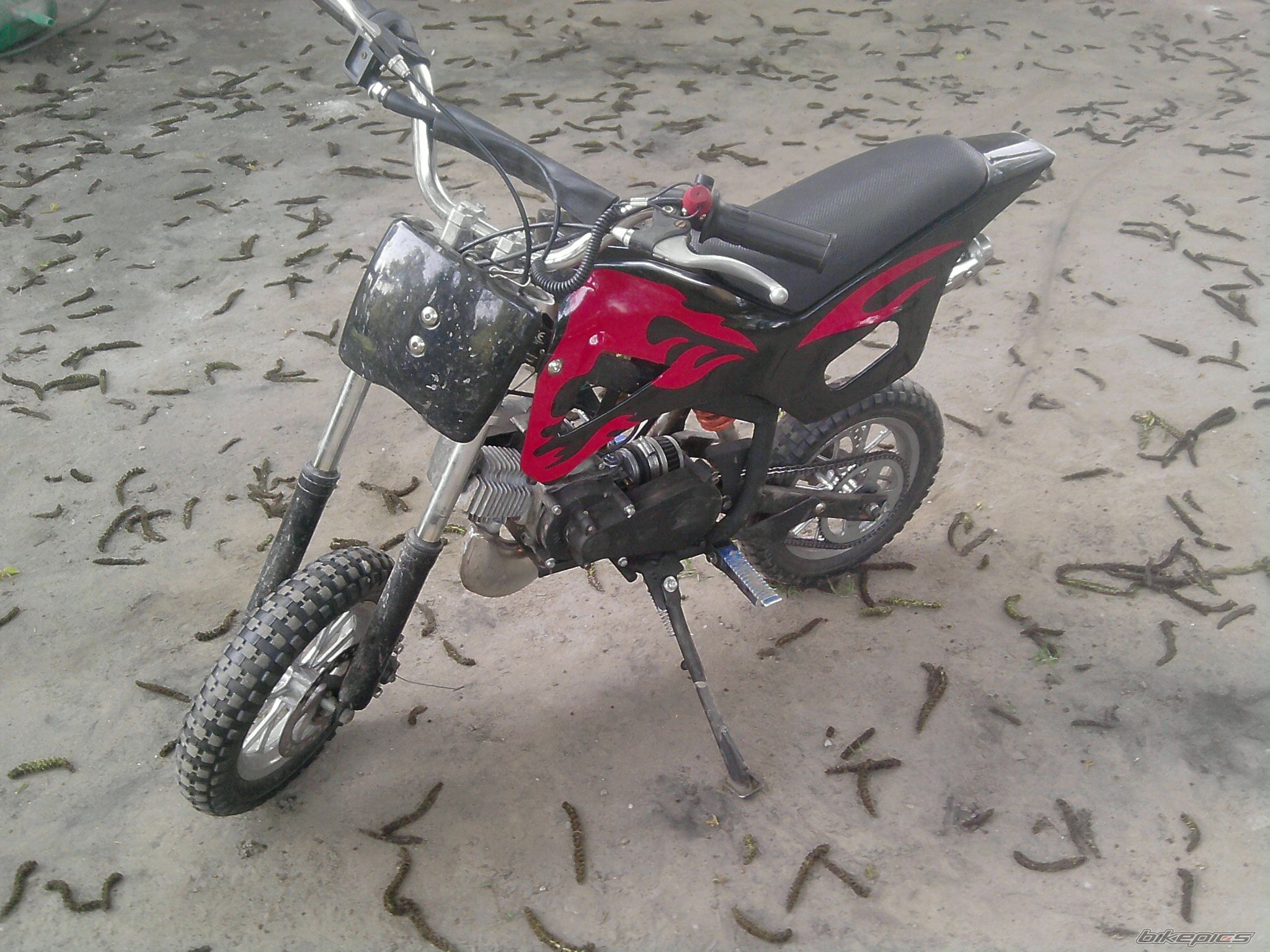 Photo 2539228