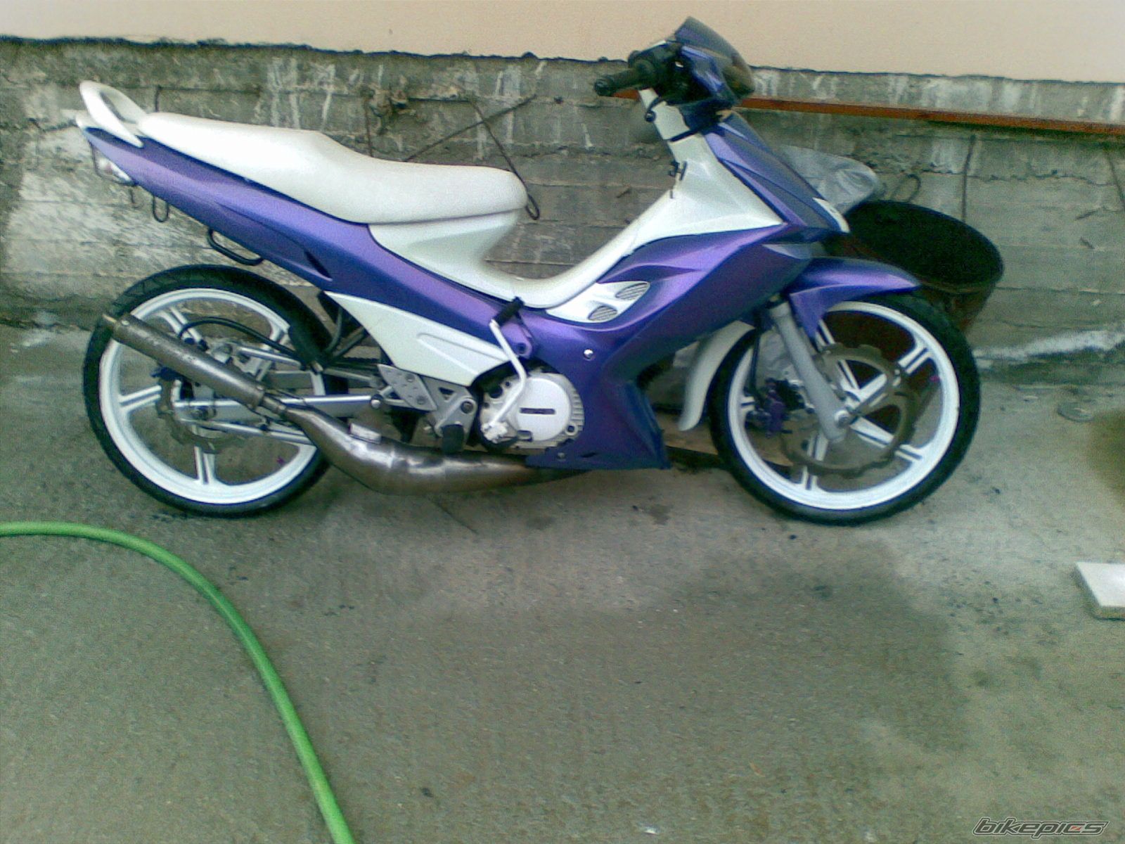 Photo 2539261
