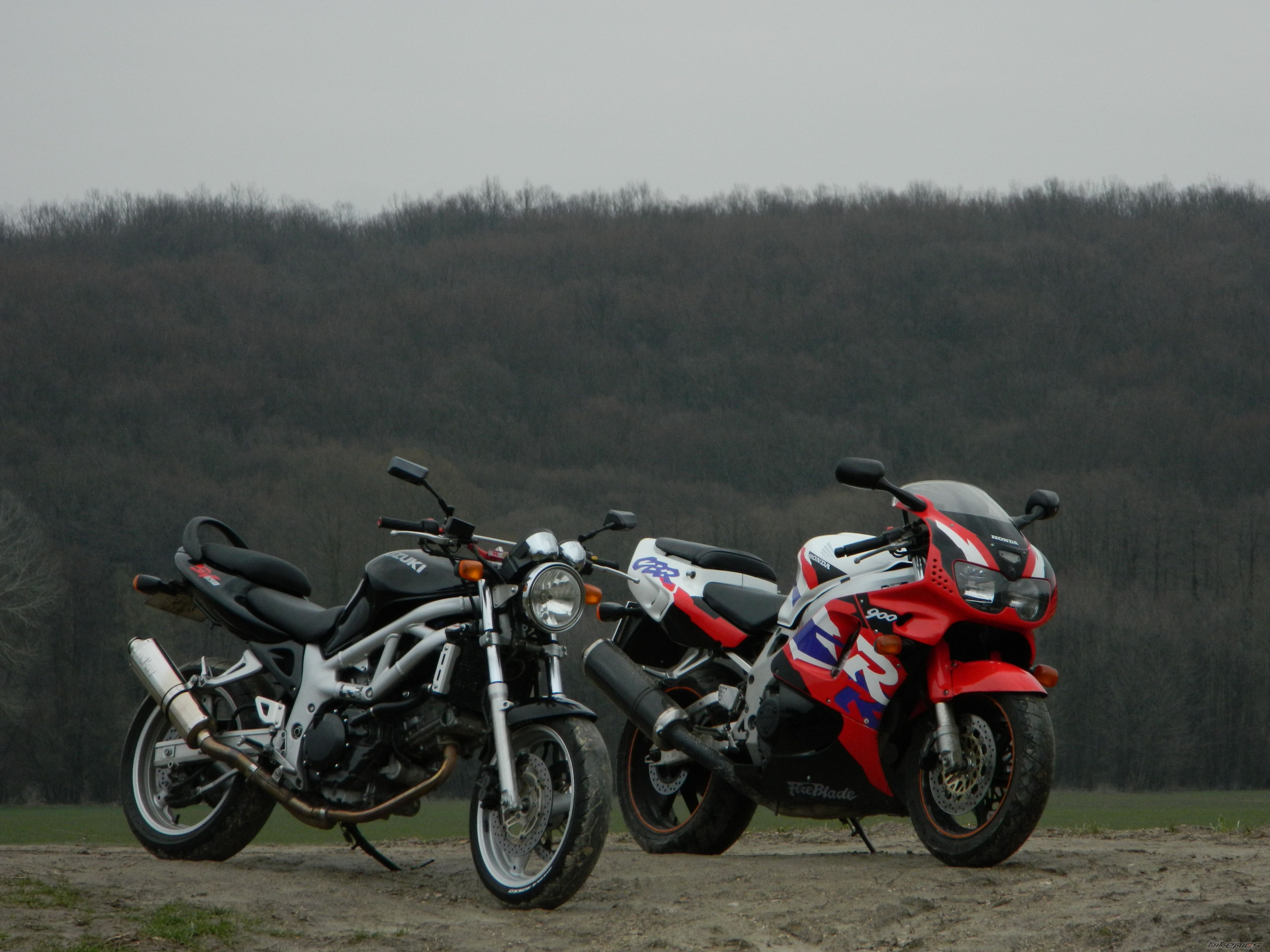 Photo 2539281