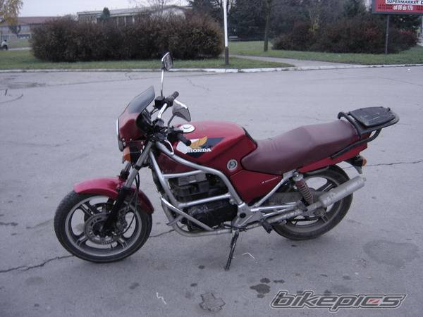 Photo 253929