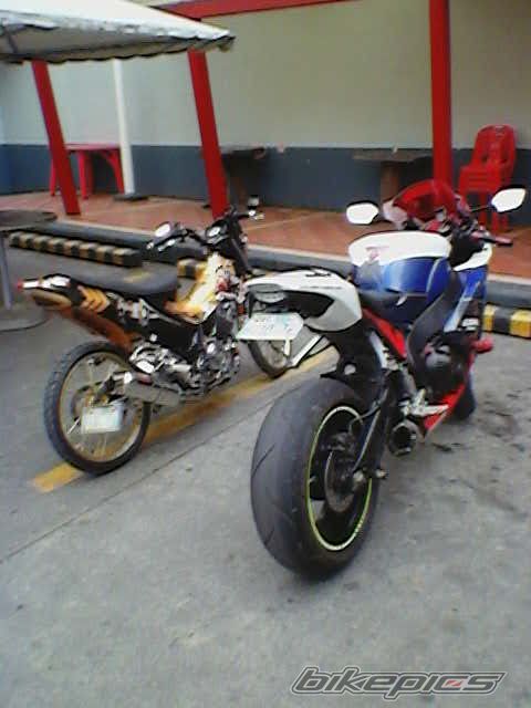 Photo 2539387