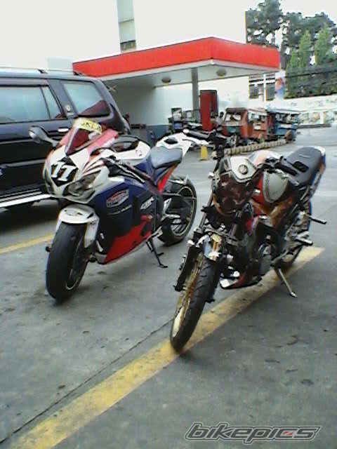 Photo 2539388
