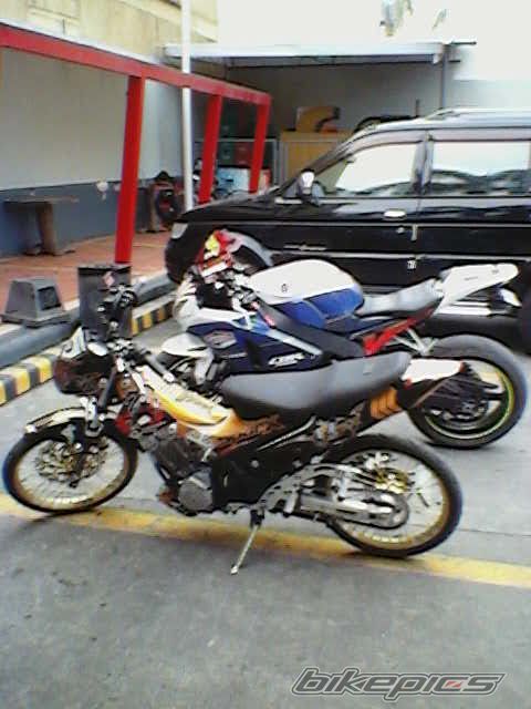 Photo 2539390