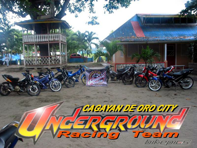 Photo 2539394