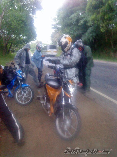 Photo 2539398
