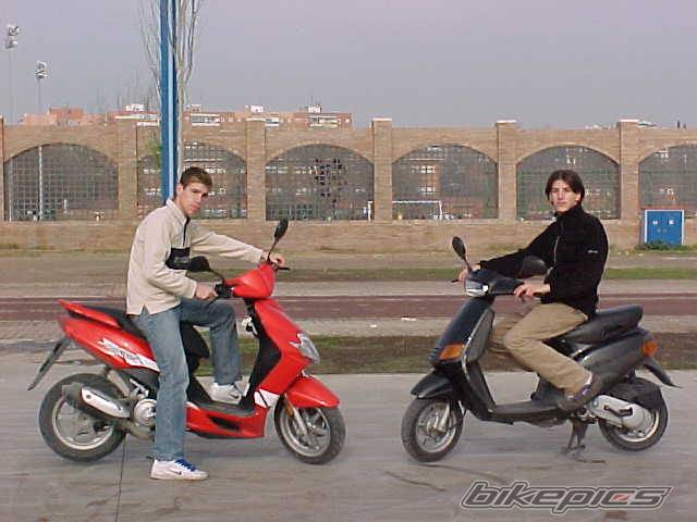 Photo 253943