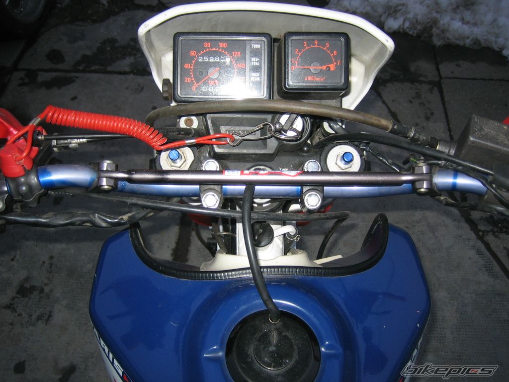 Photo 2539540