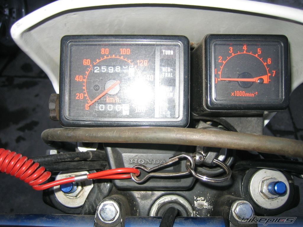 Photo 2539541