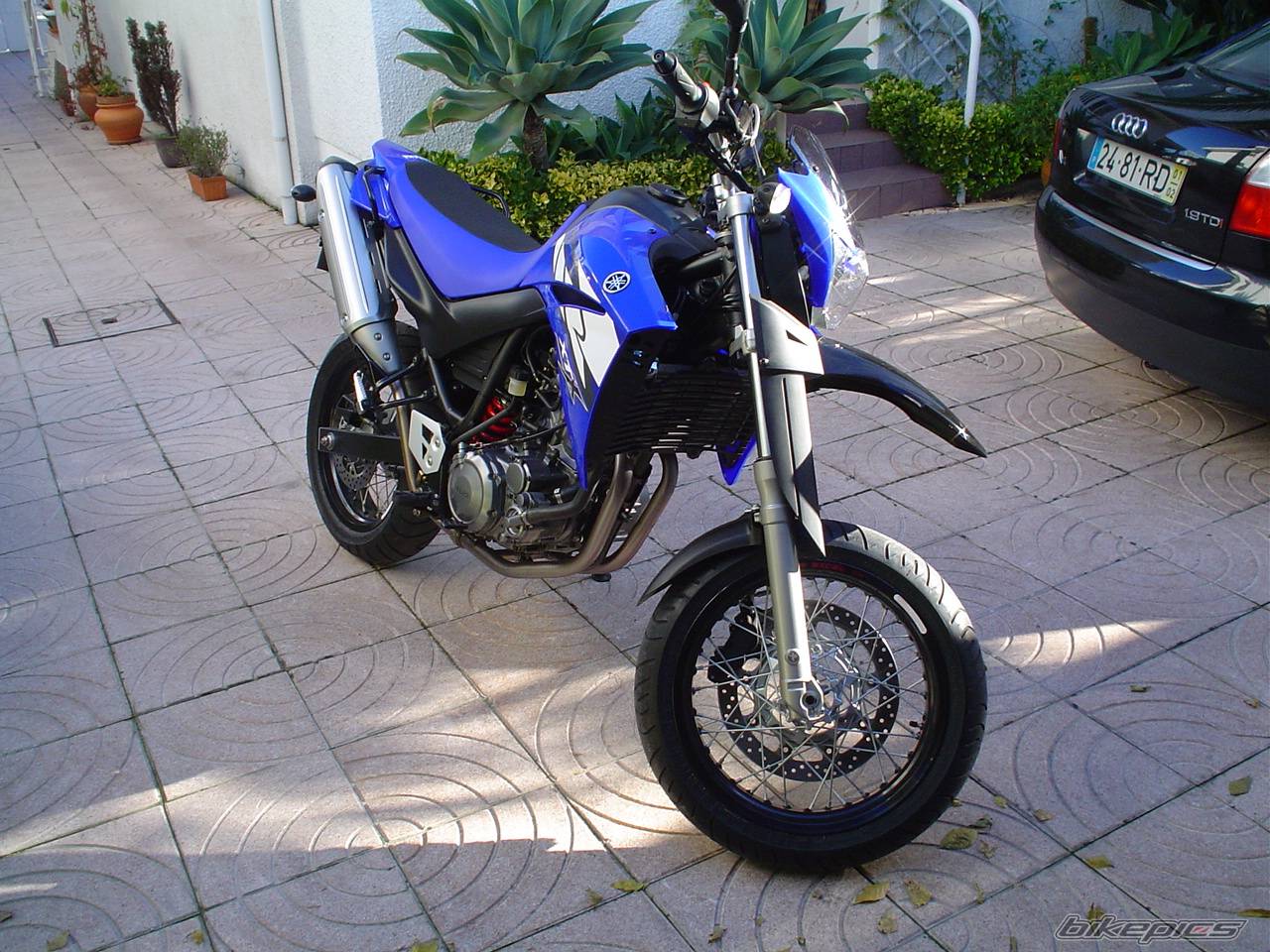 Bike Photo 253960