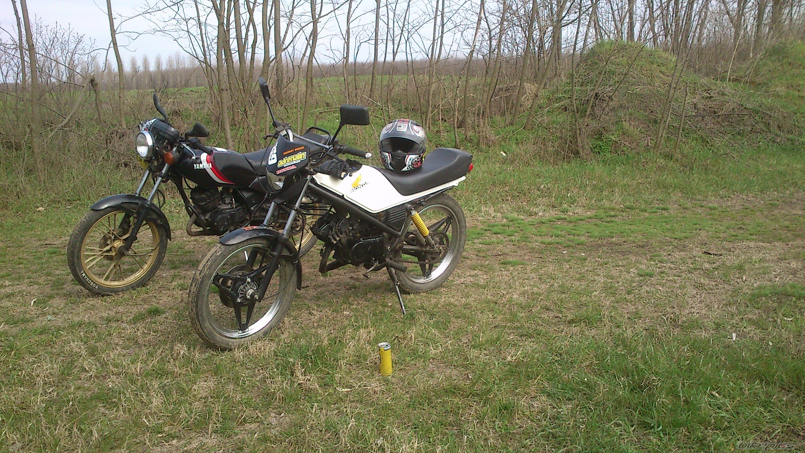 Photo 2539614