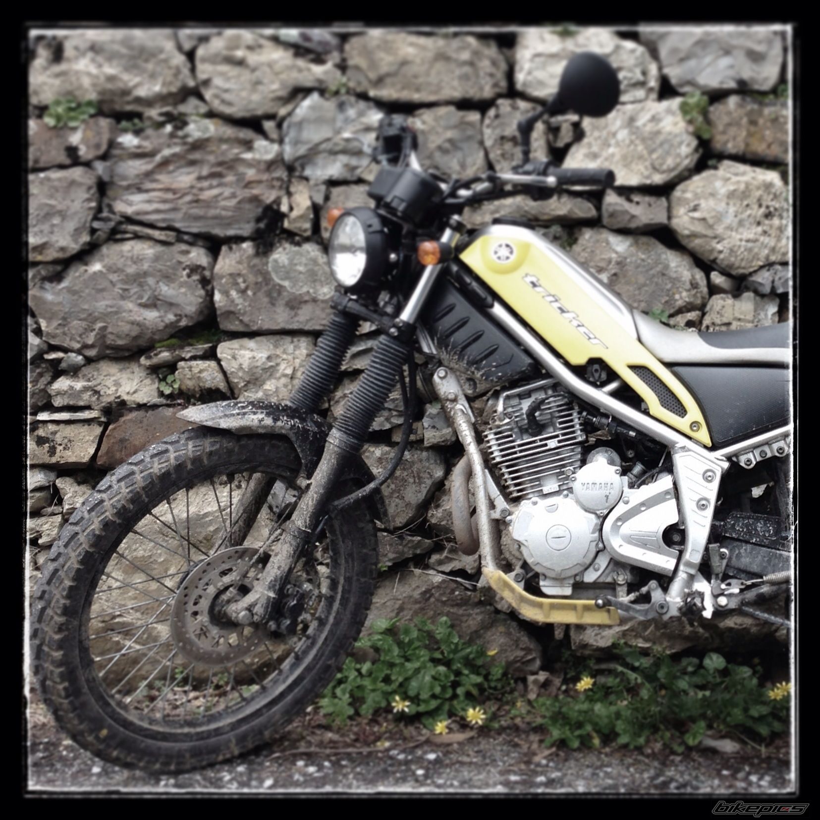 Photo 2539624