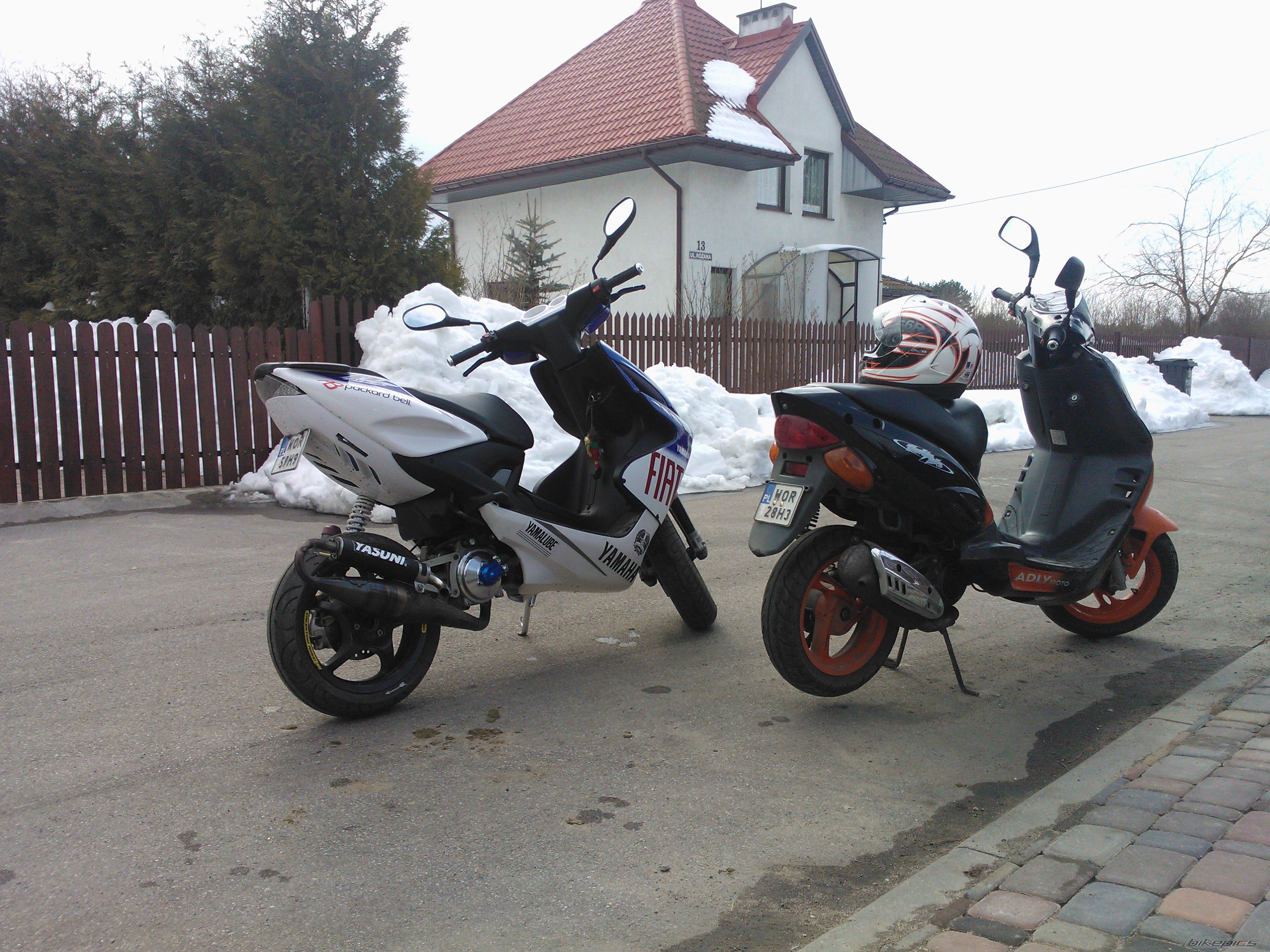 Photo 2539661