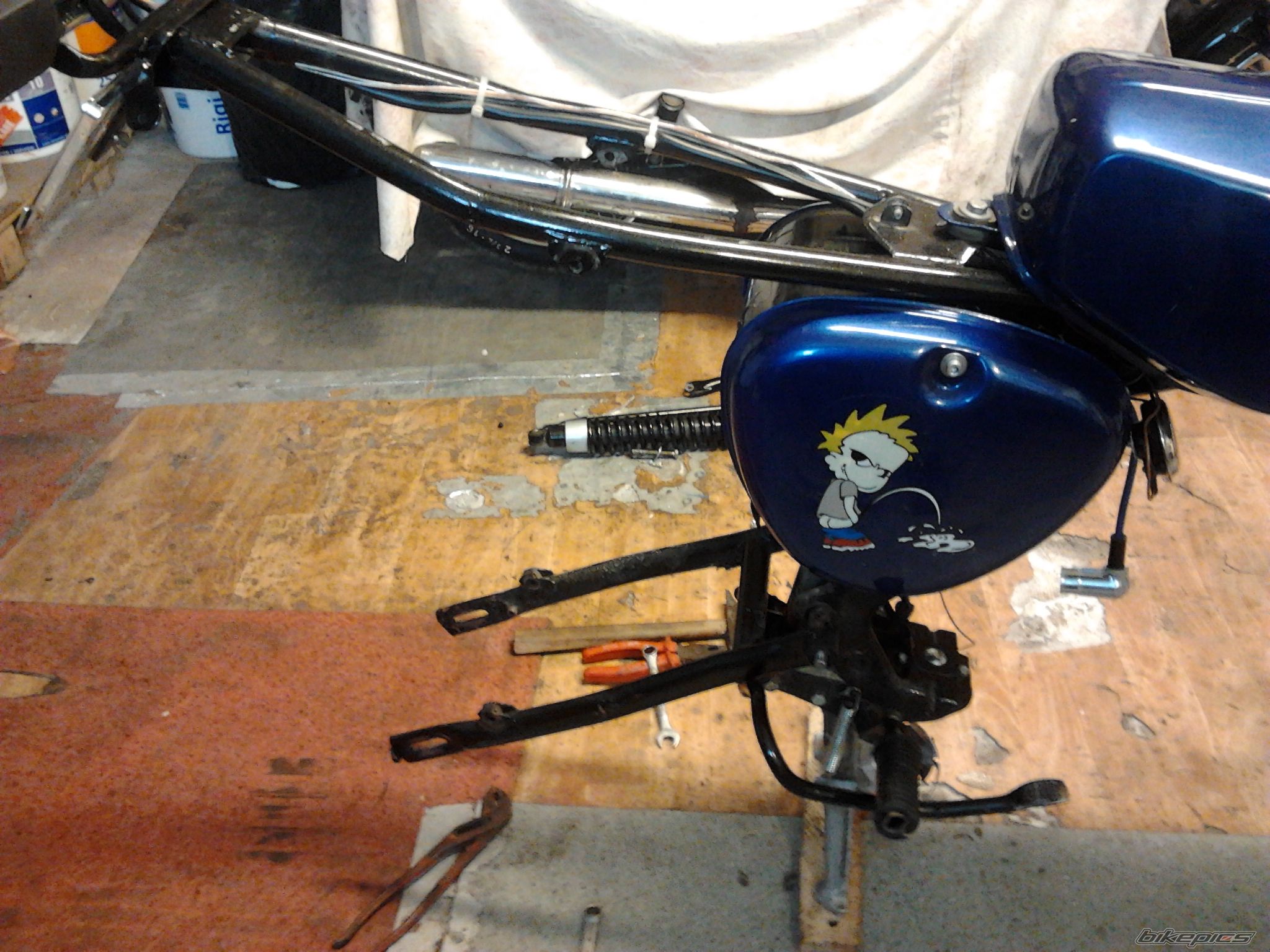 Photo 2539744