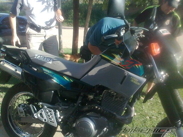 Photo 2539897